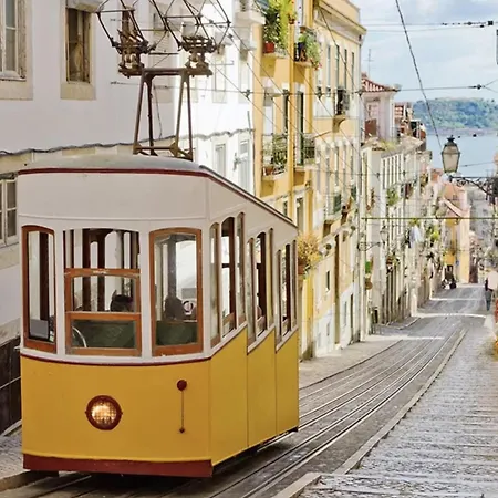 Alfama Haven 아파트 *